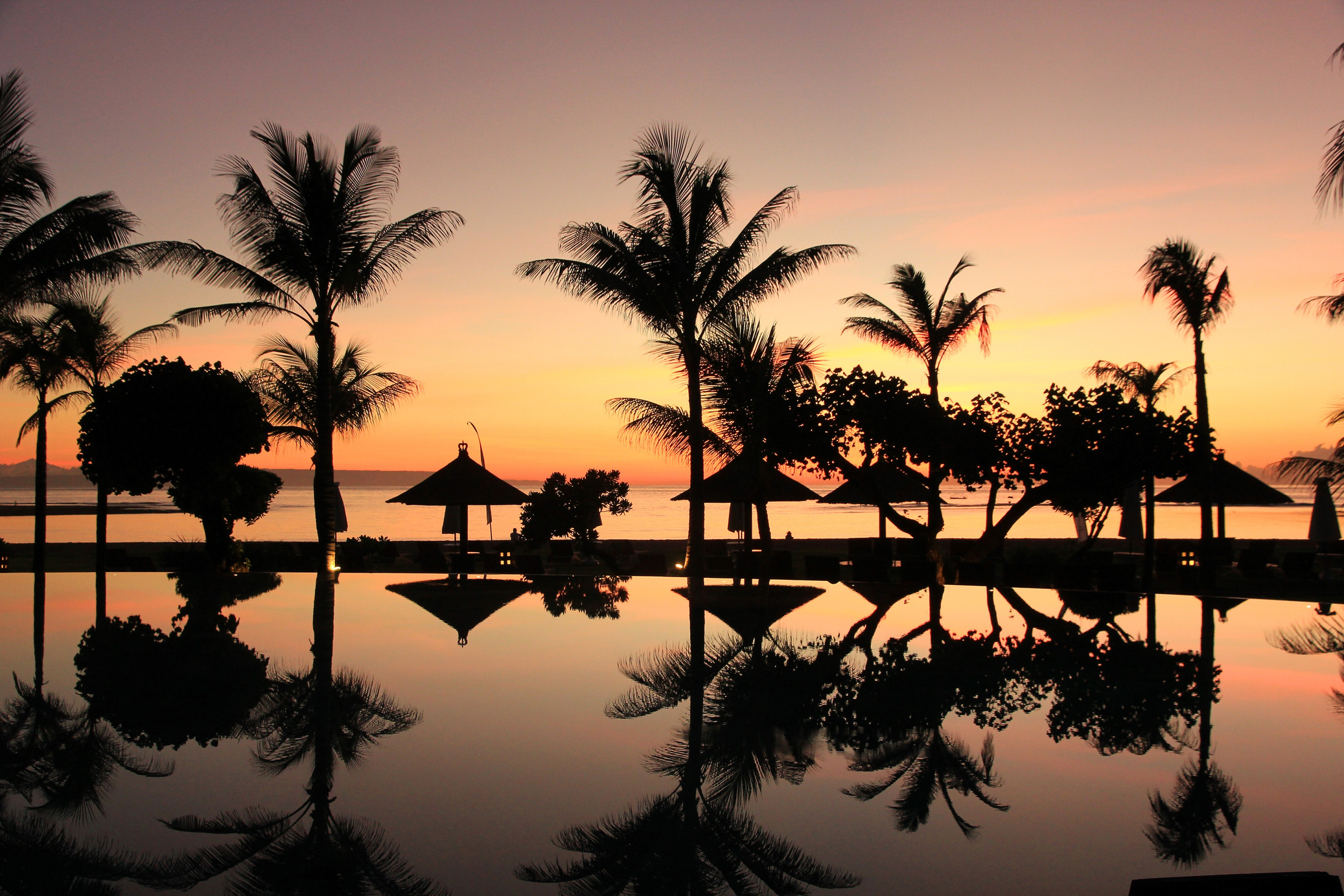Palm Trees And Swimming Pool At Sunset